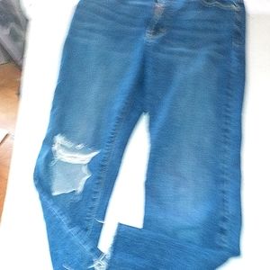 L.T.J.  Letter to Juliet Siena hi rise crop raw edge jeans